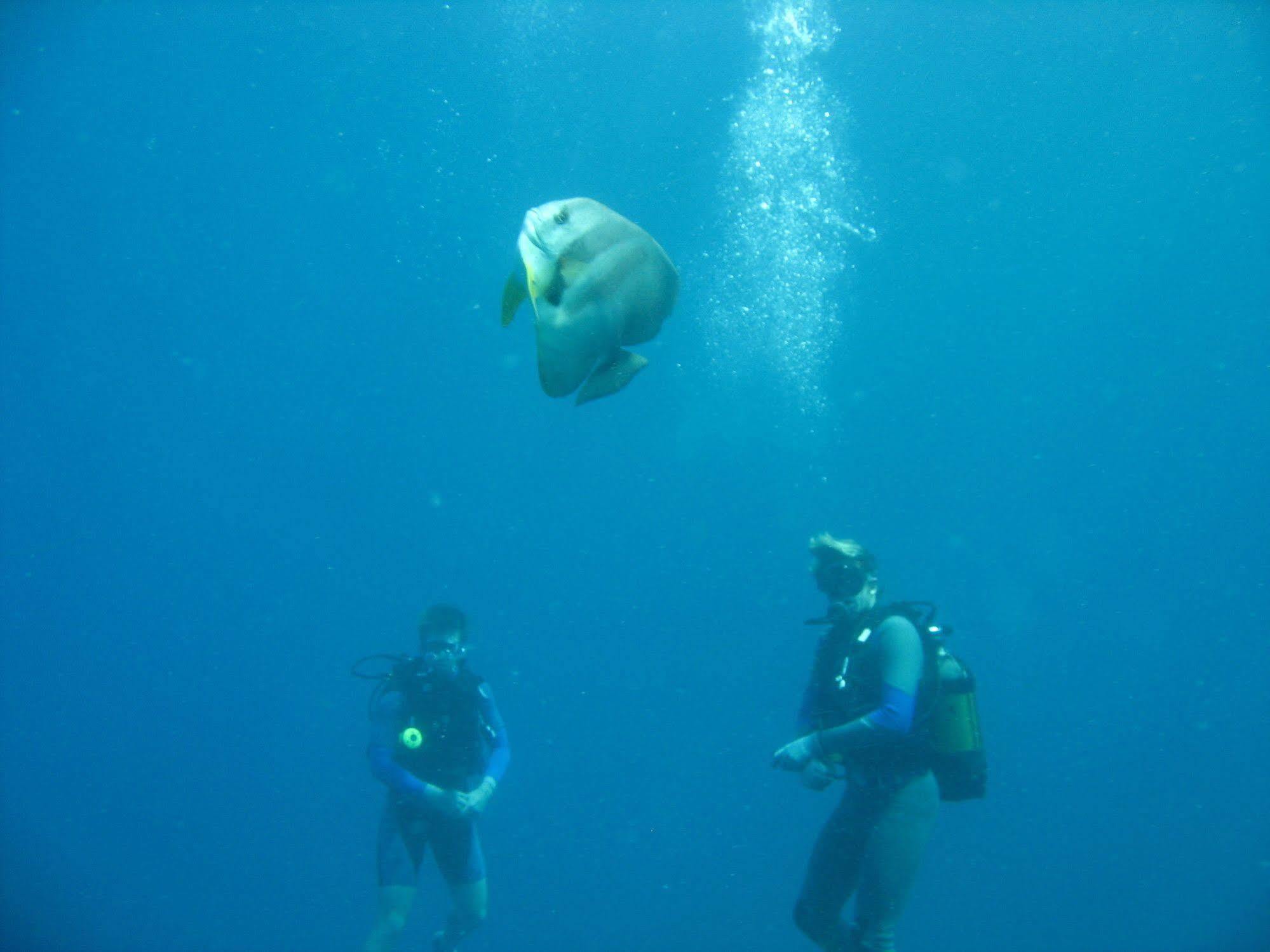 Dugong Beach Lodge Vilanculos Dış mekan fotoğraf